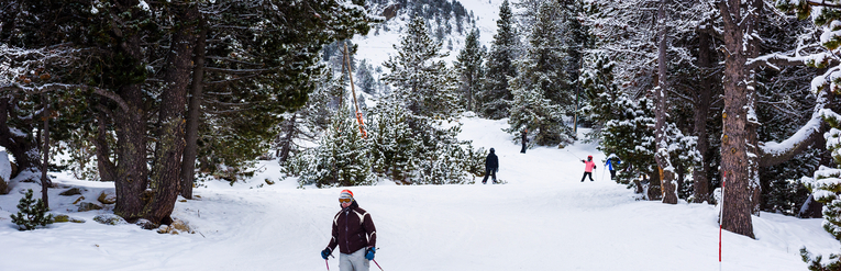 aspen christmas
