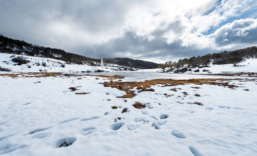 Thredbo Resort