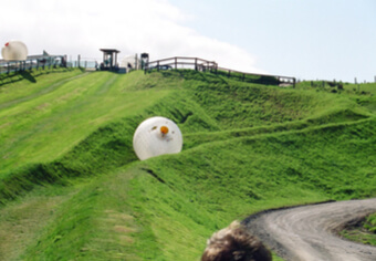 zorbing in New Zealand