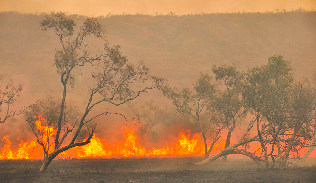 bushfire australia