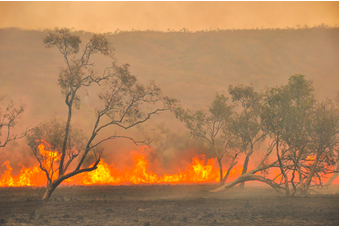 bushfire australia