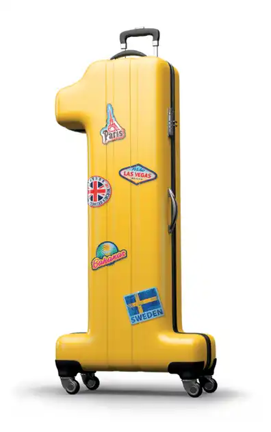 1Cover Suitcase