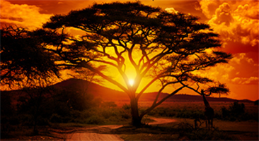Africa