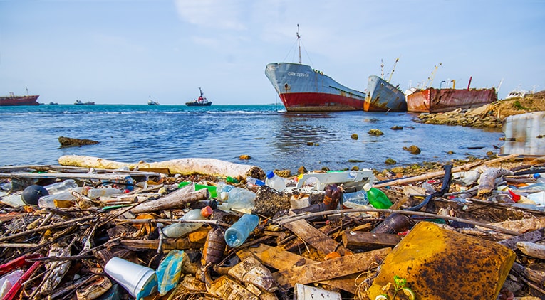 Trashed harbour