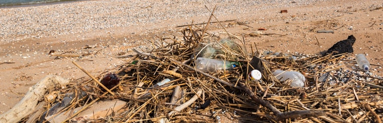 Litter on the beach