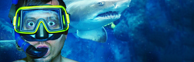 Scuba Diver and Shark