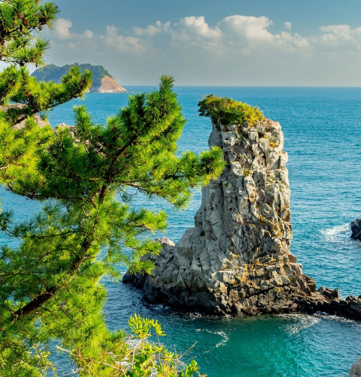 jeju