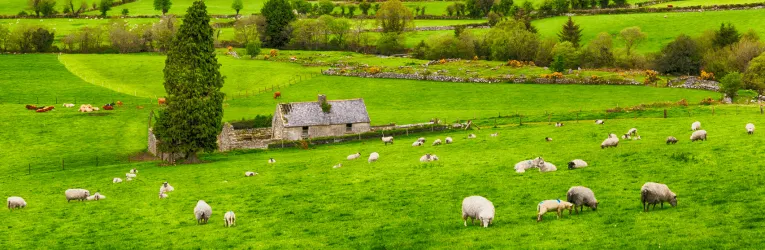 ireland