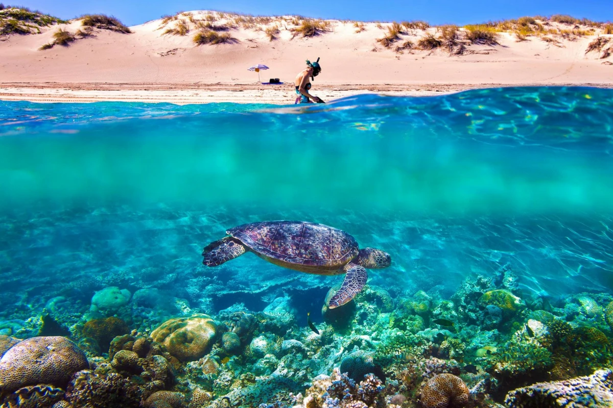 ningaloo reef