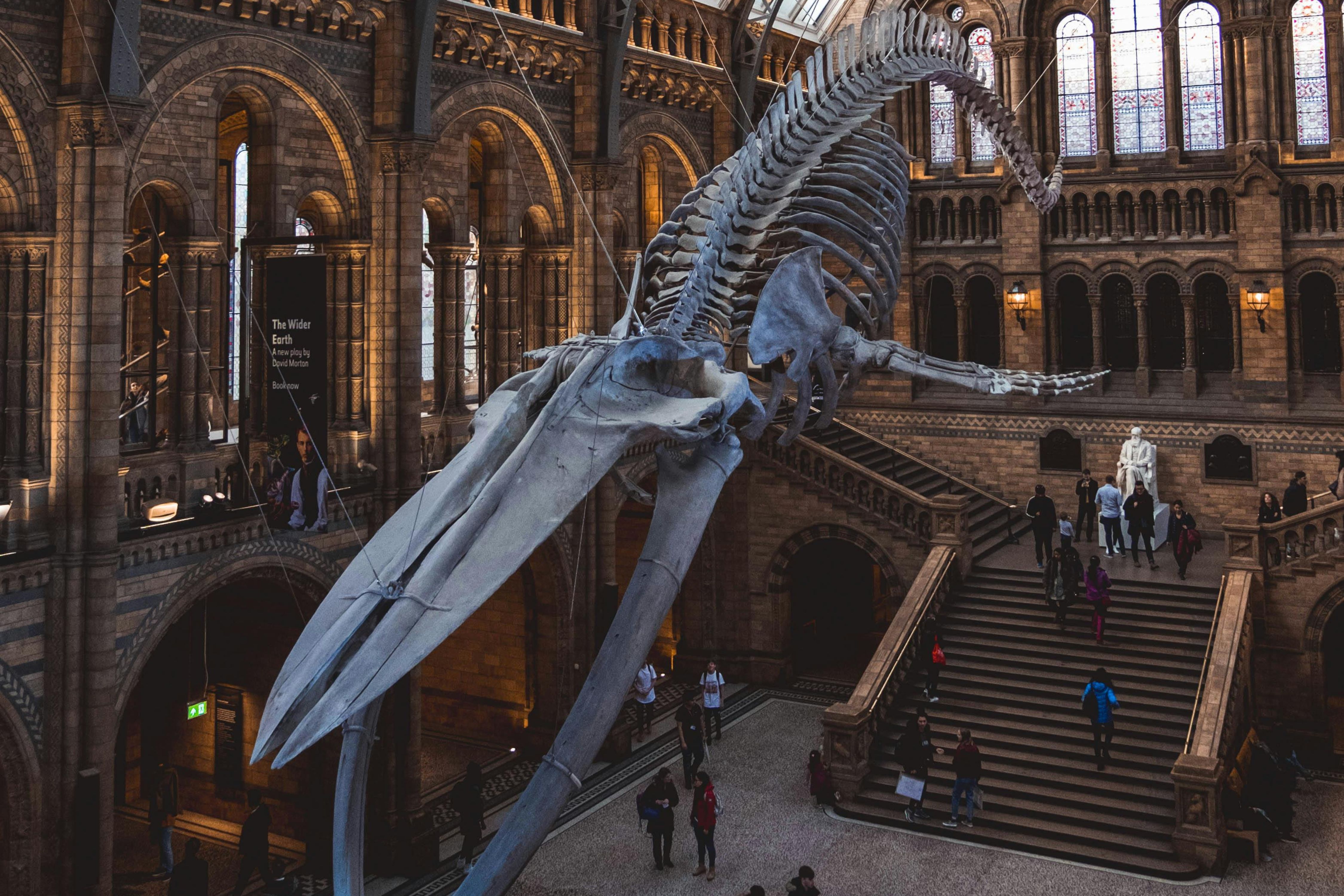 Natural History Museum