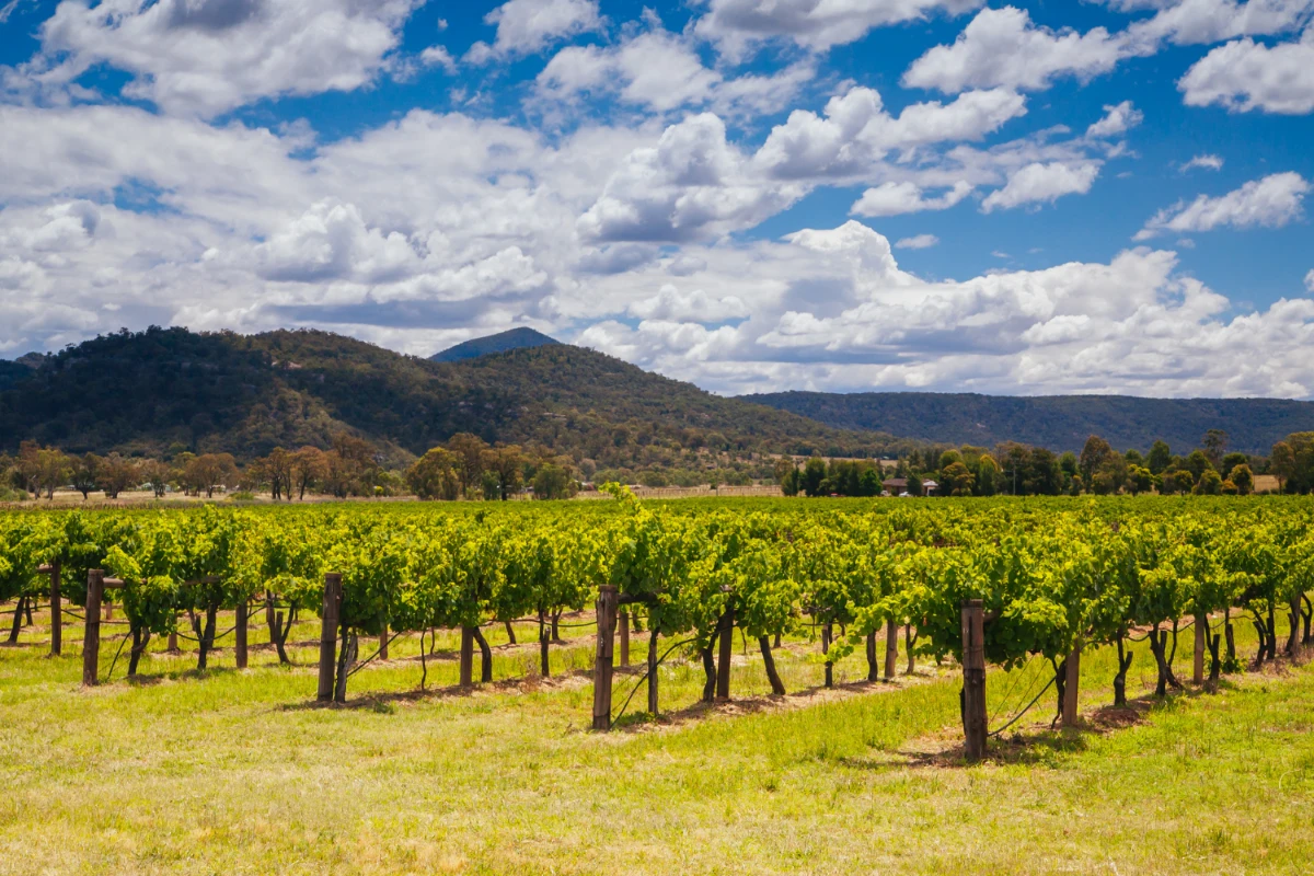 romantic getaways nsw hunter valley