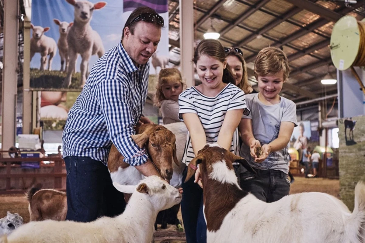 family feeding animals at the easter show