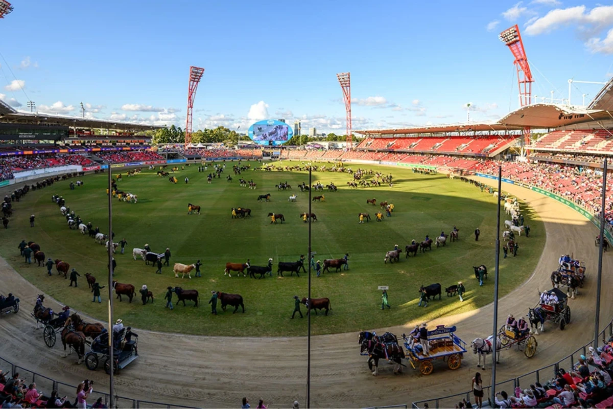 the royal easter show