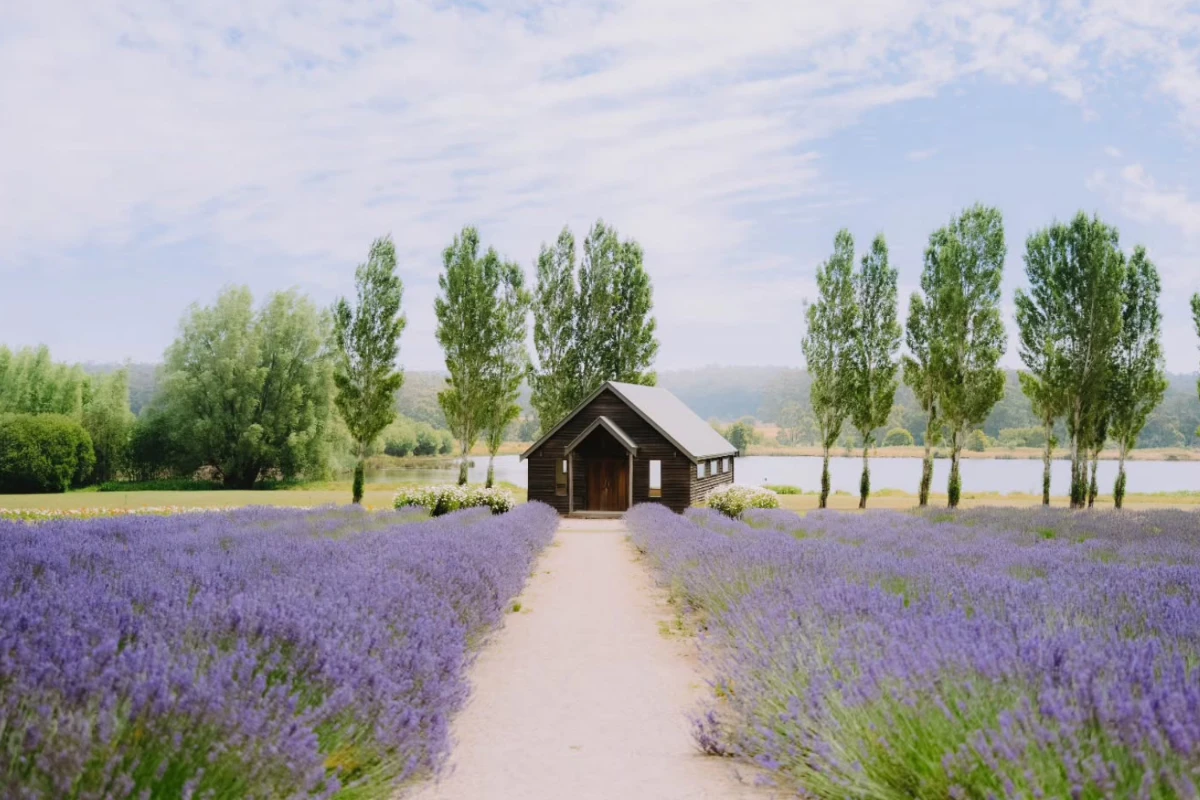 long weekend getaways - sault