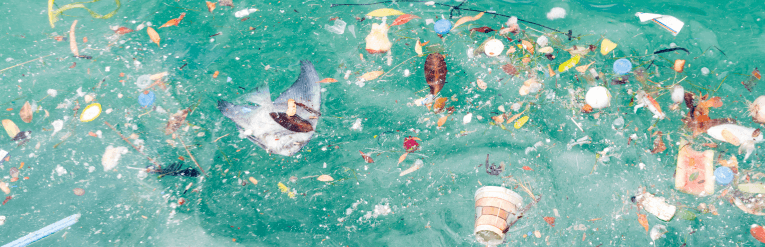 Sea Pollution