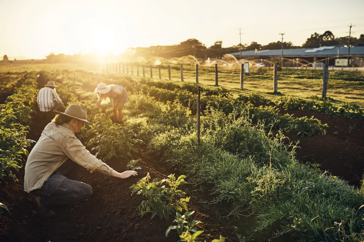 long weekend getaways - the farm byron