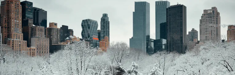 nyc at christmas